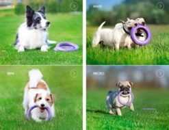 Collar Puller Chew Toy -Pet Supplies-Dogs Shop Puller comp 62fe1109a1c04 g