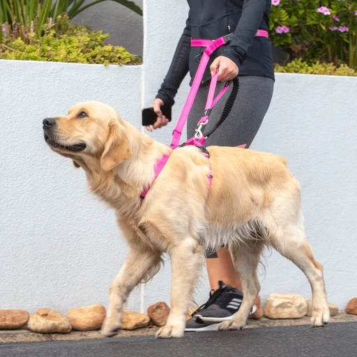 Rogz Utility Handsfree Lead Blue 2 Rogz Utility Handsfree Lead Blue - Image 2