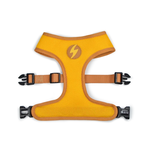 Dashi Harness Snooze Neo 2 Dashi Harness Snooze Neo - Image 2