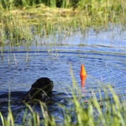 Chuckit! Chuckit Aleta De Tiburón Flotante Para Perros -Pet Supplies-Dogs Shop aleta naranja juguete perro 63e3662a0d17d g