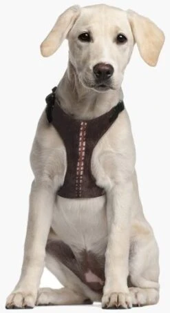 For Fan Pets Star Wars Chewbacca Sling -Pet Supplies-Dogs Shop arners star wars chewbacca 11 5 g
