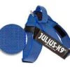 Julius K9 IDC Harness Blue Ribbon