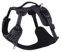 Rogz Arnés Explore