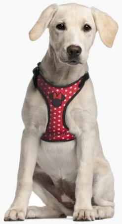 For Fan Pets Harness Minnie -Pet Supplies-Dogs Shop arnes minnie 11 7 g