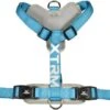 Nayeco X-Trm Cronos Cronos Neon Flash Blue Harness