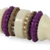 Petsafe Busy Buddy Bristle Bone