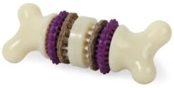 Petsafe Busy Buddy Bristle Bone