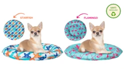 Freedog Starfish Dog Cooling Mat For Dogs -Pet Supplies-Dogs Shop cama refrescante 1 6491c93e6c18f g