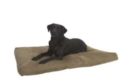 Kruuse Rectangular Olive Buster Rectangular Viscoelastic Foam Bed For Dogs 5 Kruuse Rectangular Olive Buster Rectangular Viscoelastic Foam Bed For Dogs -Pet Supplies-Dogs Shop cama viscoelastica color oliva 628498a2355bb g