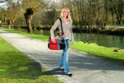 Flamingo Bicycle Basket Nylon Doggy Travel Junior Nylon, Gray / Red 38x28x27cm 11 Flamingo Bicycle Basket Nylon Doggy Travel Junior Nylon, Gray / Red 38x28x27cm -Pet Supplies-Dogs Shop cesta bicicleta nylon doggy travel junior nylon gris rojo 38x28x27cm 33 1 2 g