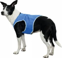 Pawise Refreshing Vest -Pet Supplies-Dogs Shop chaleco refrescante para perro 63346b0bee729 g