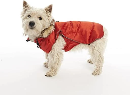 Kruuse Dog Coat Buster Active Red 1 Kruuse Dog Coat Buster Active Red