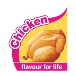 Nylabone Extreme Chew Big Beef Bone Xxl -Pet Supplies-Dogs Shop chicken flavour 642d3c988811a g