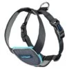 The Company Of Animals Car Safe Dog Travel Harness