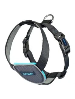 The Company Of Animals Car Safe Dog Travel Harness