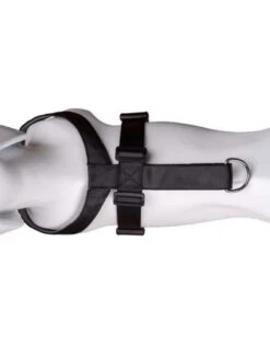 The Company Of Animals Car Safe Dog Travel Harness -Pet Supplies-Dogs Shop coa29021b 3 624ebb227e33f g