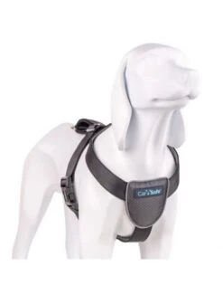 The Company Of Animals Car Safe Dog Travel Harness -Pet Supplies-Dogs Shop coa29021b 4 624ebb240ee58 g