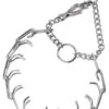 HS Sprenger Chrome-Plated Steel Quick Release Training Collar