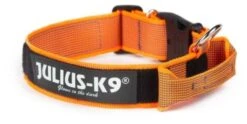 Julius K9 Color & Gray Collar With Orange Handle