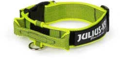 Julius K9 Color & Gray Collar With Handle Yellow