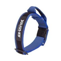 Julius K9 Collar Color & Gray With Blue Handle