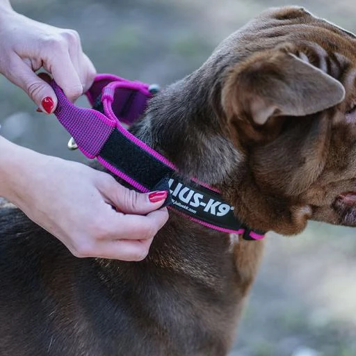 Julius K9 Color & Gray Necklace With Pink Handle 2 Julius K9 Color & Gray Necklace With Pink Handle - Image 2