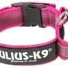 Julius K9 Color & Gray Necklace With Pink Handle