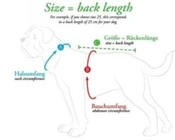 Hunter Dog Pullover Malmö Negro 13 Hunter Dog Pullover Malmö Negro -Pet Supplies-Dogs Shop e 53rYZl messanleitungen bekleidung 2020 05 600x600 637f2a8fee2d5 g