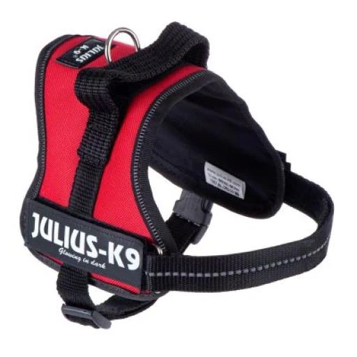 Julius K9 Harness Red 3 Julius K9 Harness Red - Image 3