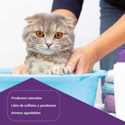 Flor De Loto Spray Desenredante Magic Para Perros Y Gatos 2 Flor De Loto Spray Desenredante Magic Para Perros Y Gatos - Image 2