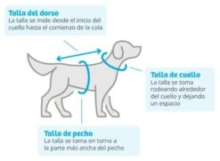 Trixie Waterproof Moon Raincoat Silver Blue 11 Trixie Waterproof Moon Raincoat Silver Blue -Pet Supplies-Dogs Shop impermeable lunas azul plateado 5 g