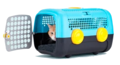 United Pets A.U.T.O 9 United Pets A.U.T.O -Pet Supplies-Dogs Shop it a u t o 59 HD 3 e84ba860 d32e 4e79 8b66 8c4ed27e23da webp 62bc2e83781bb g