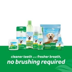 TropiClean Clean Teeth Dental Gel For Dogs -Pet Supplies-Dogs Shop j16dcbmu0ntgkkgnngud 6363dd8ca5ae4 g