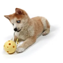 Petit Milo Cleaner Teether Toy 6 Petit Milo Cleaner Teether Toy -Pet Supplies-Dogs Shop juguete milo para cachorros 63eb6db606bcc g