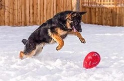 Jolly Pets Jolly Egg Interactive -Pet Supplies-Dogs Shop juguete para perros pelota huevo 629f5480009b2 g