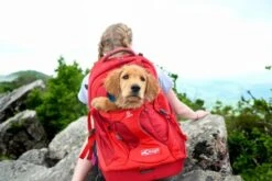 Kurgo Backpack G-Train K9 -Pet Supplies-Dogs Shop mochila g train k9 4 g