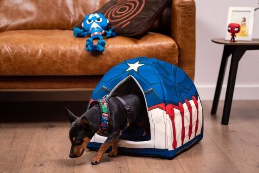 For Fan Pets Avengers Captain America Dog Teether 7 For Fan Pets Avengers Captain America Dog Teether - Image 7