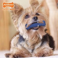 Nylabone Dental Chew Plaque Attacker -Pet Supplies-Dogs Shop nylabone chews bone 641c685ae5406 g
