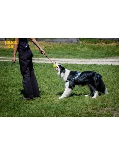 Julius K9 Yellow Fluorescent Idc Ball 3 Julius K9 Yellow Fluorescent Idc Ball - Image 3