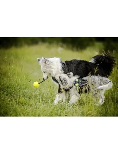 Julius K9 Yellow Fluorescent Idc Ball 4 Julius K9 Yellow Fluorescent Idc Ball - Image 4