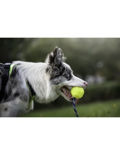 Julius K9 Yellow Fluorescent Idc Ball 5 Julius K9 Yellow Fluorescent Idc Ball - Image 5