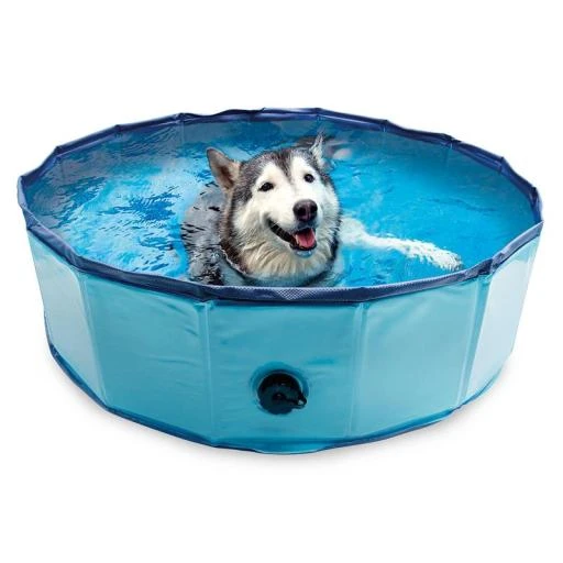 Arquivet Dog Pool 1 Arquivet Dog Pool