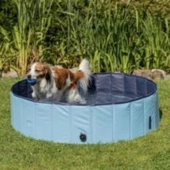 Trixie Pool For Dogs -Pet Supplies-Dogs Shop piscine pour chien trixie 80 cm 62a751a63195f g