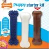 Nylabone Puppy Starter Kit S Puppy / Extreme / Dental