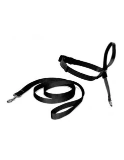 Nayeco Black Anti-Pulling Leadrope