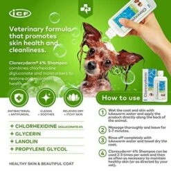 Fatro Shampoo CLX Solution 4% -Pet Supplies-Dogs Shop s l500 1 636bb06abdd84 g