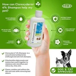 Fatro Shampoo CLX Solution 4% -Pet Supplies-Dogs Shop s l500 2 636bb06fbb9f5 g