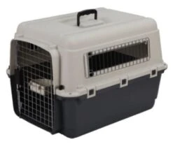 Petpall Aviator Carrier