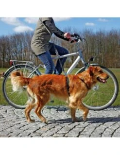 Trixie Ramal Bicicleta/footing, 1.00-2.00 M,25 Mm, Negro -Pet Supplies-Dogs Shop trela para bicicleta e jogging 641adebbc4619 g